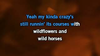 Lainey Wilson  Wildflowers And Wild Horses Karaoke Version [upl. by Isla466]