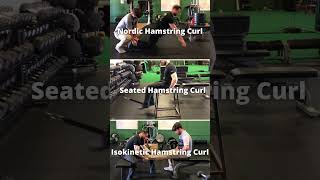 Best Hamstrings Strength Exercises  Biceps Femoris  Highest EMG [upl. by Eniahs]