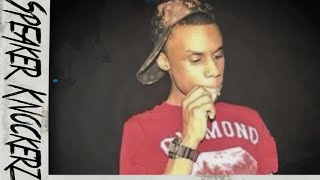 The REAL Speaker Knockerz Story Documentary [upl. by Lyrpa39]