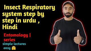 Insect Respiratory system step by step in urdu  Hindi  Zoology  entomology zoologist [upl. by Agnola]