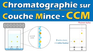 CCM 🧪 Chromatographie sur Couche Mince  Physique Chimie  Lycée [upl. by Wilmar]