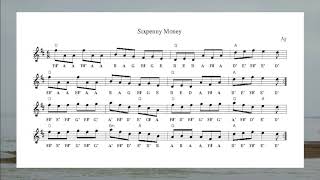 Sixpenny Money Jig  PlayAlong Wednesday [upl. by Alleynad736]