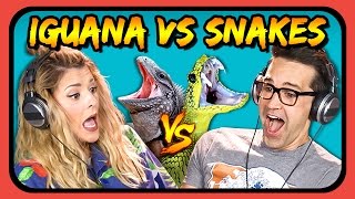 YOUTUBERS REACT TO IGUANA VS SNAKES [upl. by Faulkner]