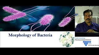 Morphology of Bacteria Part 1  Explained in Tamil [upl. by Rush]