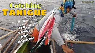 CATCHING TANIGUE TRADITIONAL FISHINGMABISANG PAMAIN SA TANIGUE trolling handlinefishing [upl. by Rakel]