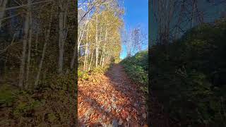 Trail in North Vancouver in the fall [upl. by Elakram429]