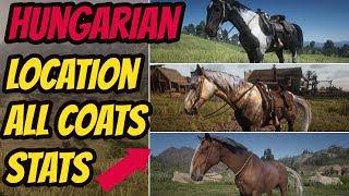 Red Dead Redemption 2 Hungarian Halfbred LOCATION amp ALL COATS amp STATS GOOD HORSE GUIDE [upl. by Nodnerb]