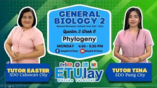 Phylogeny  General Biology 2  Quarter 13 Week 6 [upl. by Son]