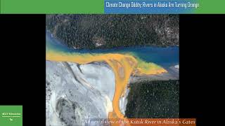 Climate Change Oddity Rivers in Alaska Are Turning Orange [upl. by Terrill646]