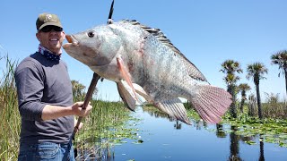 Spearing HUGE Tilapia amp Armored Catfish Tilapia Catch amp Cook and Fishing for Barramundi [upl. by Ailati]