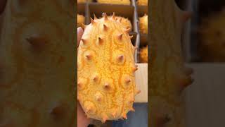 Do You Grow Horned Melon In Your Country satisfying short [upl. by Christiane]