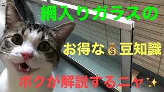 【網入りガラス】熱割れのガラス交換、知っておくべきお得な💰豆知識をジンくんがじっくり解説、の巻 [upl. by Chance]