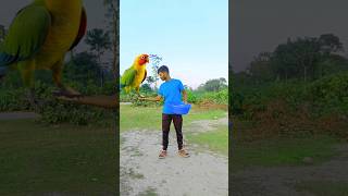 Flying crying babies Catching vs frog parrot amp goat vs yellow lizard  Funny vfx magic 😄😆😆 [upl. by Stormy]