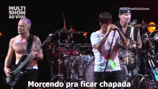 Red Hot Chili Peppers Universally Speaking Rio HD LEGENDADO [upl. by Keifer]