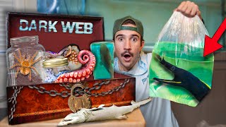 Ordering HAUNTED Live Fish Off The DARK WEB [upl. by Telocin309]