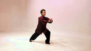 Simplified 24 Tai Chi routine [upl. by Anert]