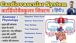 Cardiovascular System in hindi  Structure of Heart  Blood Circulation  SA Node AV Node  Artery [upl. by Lind]