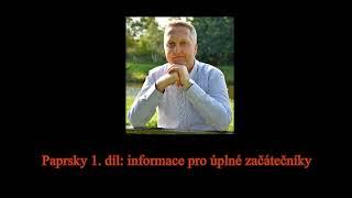 0422 Libor Smetana Paprsky 1 díl  část informací pro úplné začátečníky [upl. by Annaoy84]