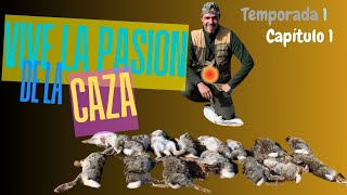 🔷Caza💥con Bretones🐶Veda 2024 Primer y segundo día de caza del🐇conejo hunting rabit benelli [upl. by Aineval764]