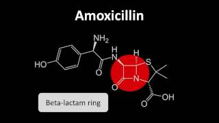 Medicines Safety  CoAmoxiclav Part 1 [upl. by Eliades]