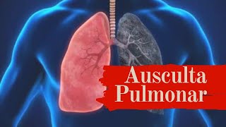 Ausculta Pulmonar  roncos sibilos estertores  ruídos adventícios [upl. by Normalie]