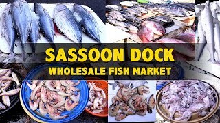 Sasson Dock Wholesale fish Market  Varieties of Indian fish  Fishmarketchannel [upl. by Sillig400]