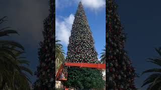 2024 Newport Beach Christmas tree  Fashion Island christmas [upl. by Britteny]