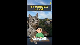 社労士資格の勉強法～まとめ編～ [upl. by Nerland]