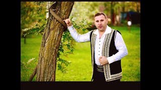 Cornel COJOCARU │ Am pierdut in viata multe │ LIVE Muzica de petrecere NOU │ [upl. by Aicilef]