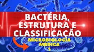 BACTÉRIA ESTRUTURA E CLASSIFICAÇÃO  MICROBIOLOGIA MÉDICA 1 [upl. by Binnings]