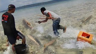 Petualangan Berburu Ikan amp Kerang Dipantai Saat Air Laut Surut [upl. by Auqcinahs]