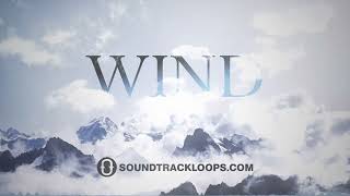 Wind  Sound Effects and Field Recordings [upl. by Sutniuq62]