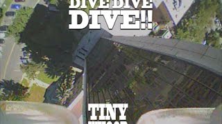 DIVE DIVE DIVE  Tiny Whoop  New BeeBrain V1 FC [upl. by Tabshey765]