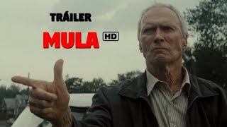 Tráiler Mula en español HD [upl. by Romilda]