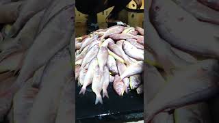 Vanagaram chennai Fish mart 4am mrgn 🤩🤩🤩happylife  travel vlog🤗🤗🤗 [upl. by Boesch163]