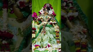 radhakrishna radheradhe radheshyam bankebihari viralvideo song [upl. by Lateehs248]