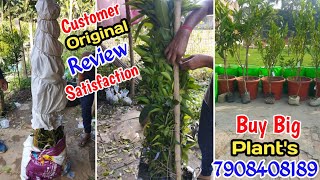 Customer experience review Customer online plant unboxing shorts plants mrkgreengarden [upl. by Tudela]