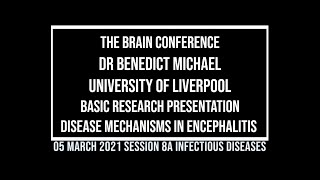 The Brain Conference 2021 Basic Research Presentation Benedit Michael [upl. by Junna570]