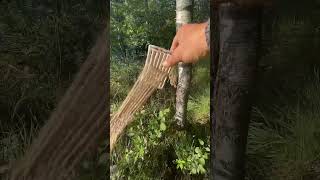 First time testing amp using the heddle loom carvingideas bushcraft woodworkingtraditionalskills [upl. by Aicad16]