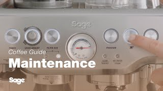 The Barista Express™  How to perform a clear water backflush on your machine  Sage Appliances UK [upl. by Popelka851]