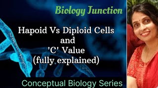 What is Haploid or Diploid Cells  C value l NEET  Boards [upl. by Lettie]