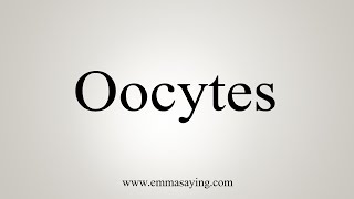 How To Say Oocytes [upl. by Assilev]