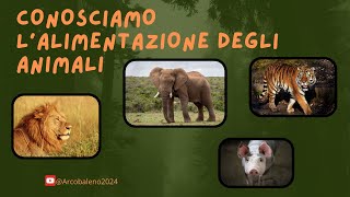 Cosa mangiano gli animali apprendimento animali cibo youtubekids [upl. by Parke]