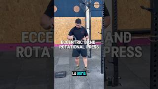 tendinitis tendinite mobilitytraining entrenamientodefuerza entrenamientoonline shoulderpain [upl. by Geof]