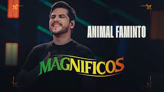 ANIMAL FAMINTO  Banda Magníficos DVD A Preferida do Brasil [upl. by Philender760]