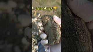 We got natural gold stone while digging of earth🌎 stones metaldetecting americandiamindstone gem [upl. by Yeaton]