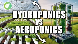 Which Method Reigns Supreme Hydroponics or Aeroponics [upl. by Sarge]