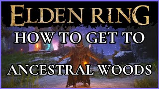 Elden Ring  How to get to The Ancestral Woods [upl. by Ahsiuq]