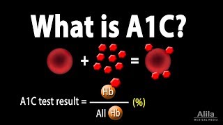 A1C Test for Diabetes Animation [upl. by Aynwad]