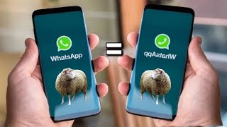 Cómo tener el Mismo WhatsApp en otro celular 2024 con el mismo número [upl. by Ahsirtap83]